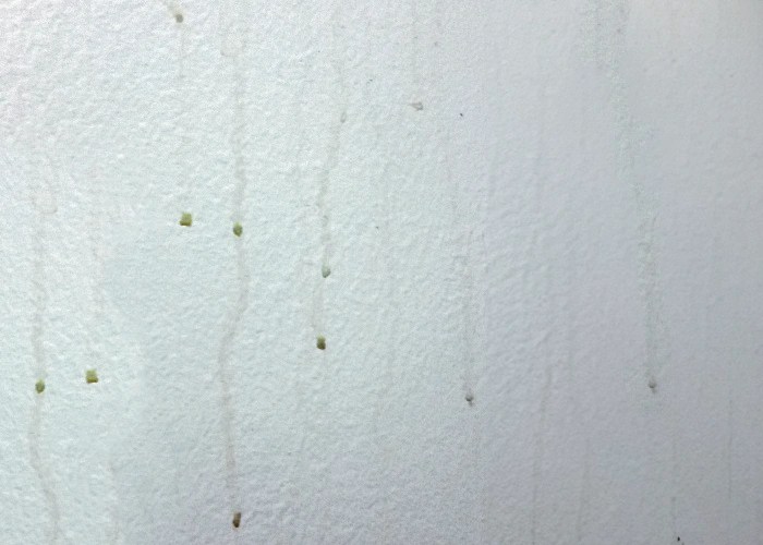 Can Humidity Affect Your Interior Paint?