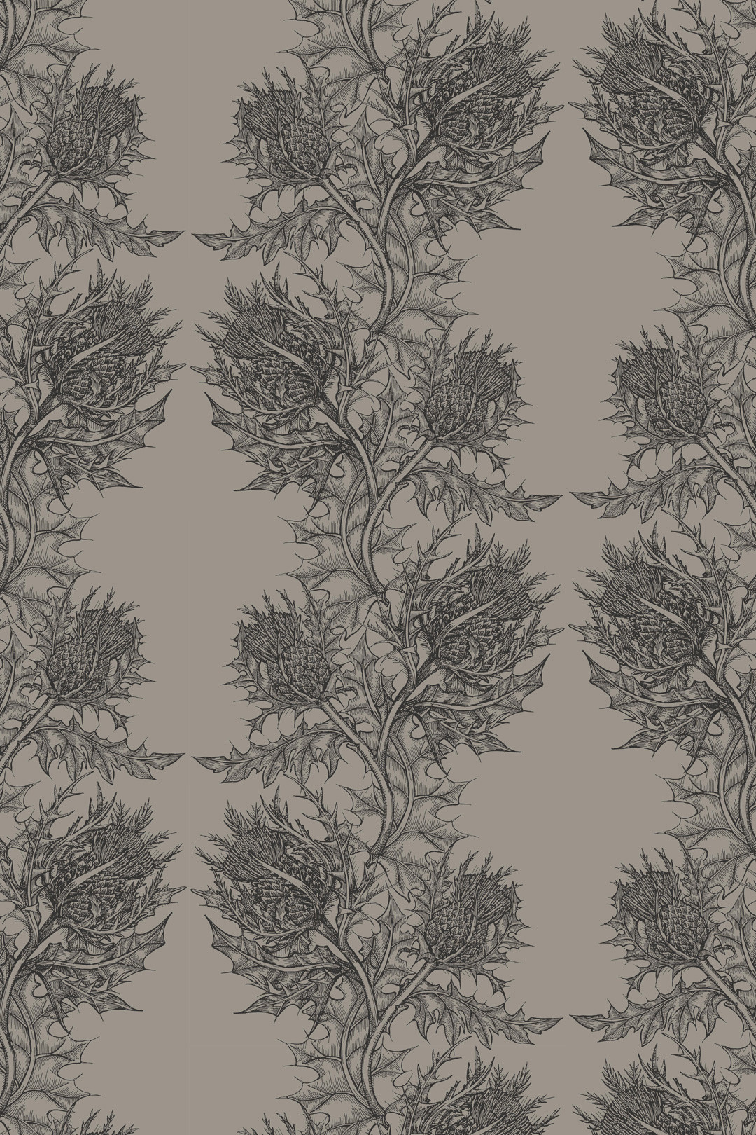 Thistle Wallpaper Luxury Scottish Wallpaper Timorous Beasties