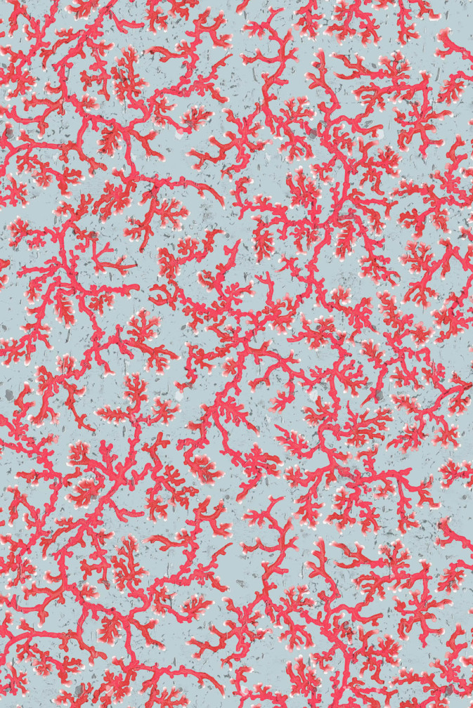 Coral Cork Coral Design Wallpaper Timorous Beasties