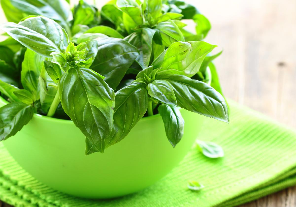 Réduire sa tension artérielle avec les plantes