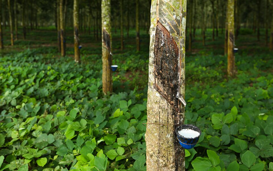 Is Rubber Bad For The Environment?