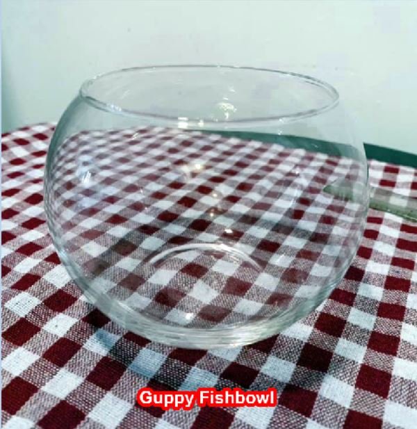 Can Guppies Live In A Bowl Without Oxygen? Tiny Fish Tank
