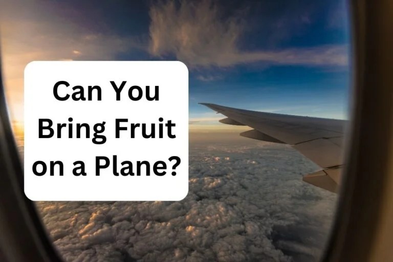 Can You Bring Fresh Fruit On A Plane at Rachel Chestnut blog