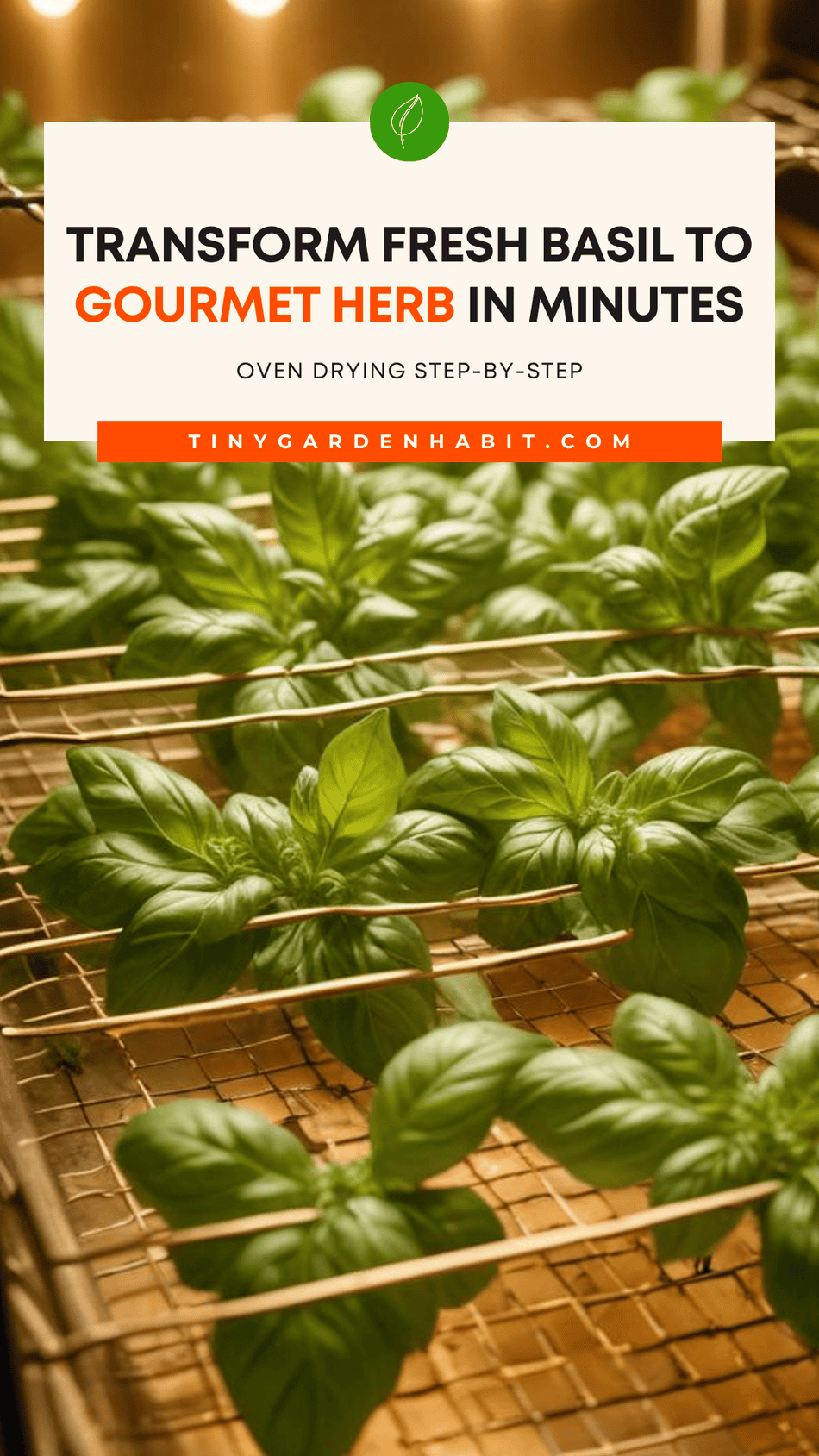 Drying Basil Leaves Oven, Microwave, Air Fryer, Dehydrator