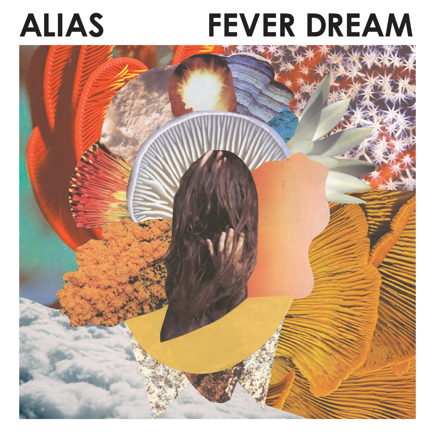 Alias Fever Dream Music Review Tiny Mix Tapes