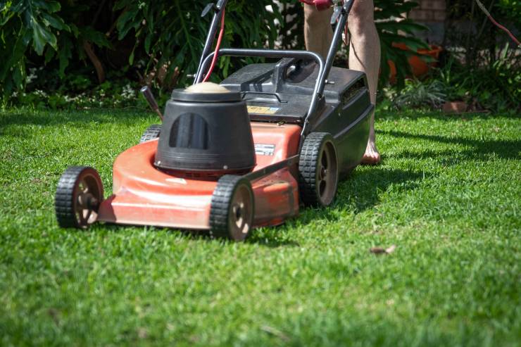 The 5 Best Robotic Lawn Mower For 2021 [Durable & Powerful] Tiny Quip