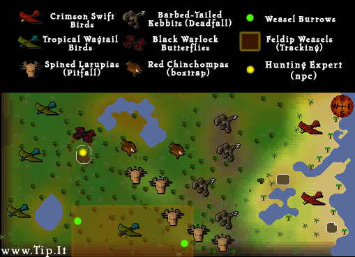 Jungle Region Map Pages Tip.It RuneScape Help The Original