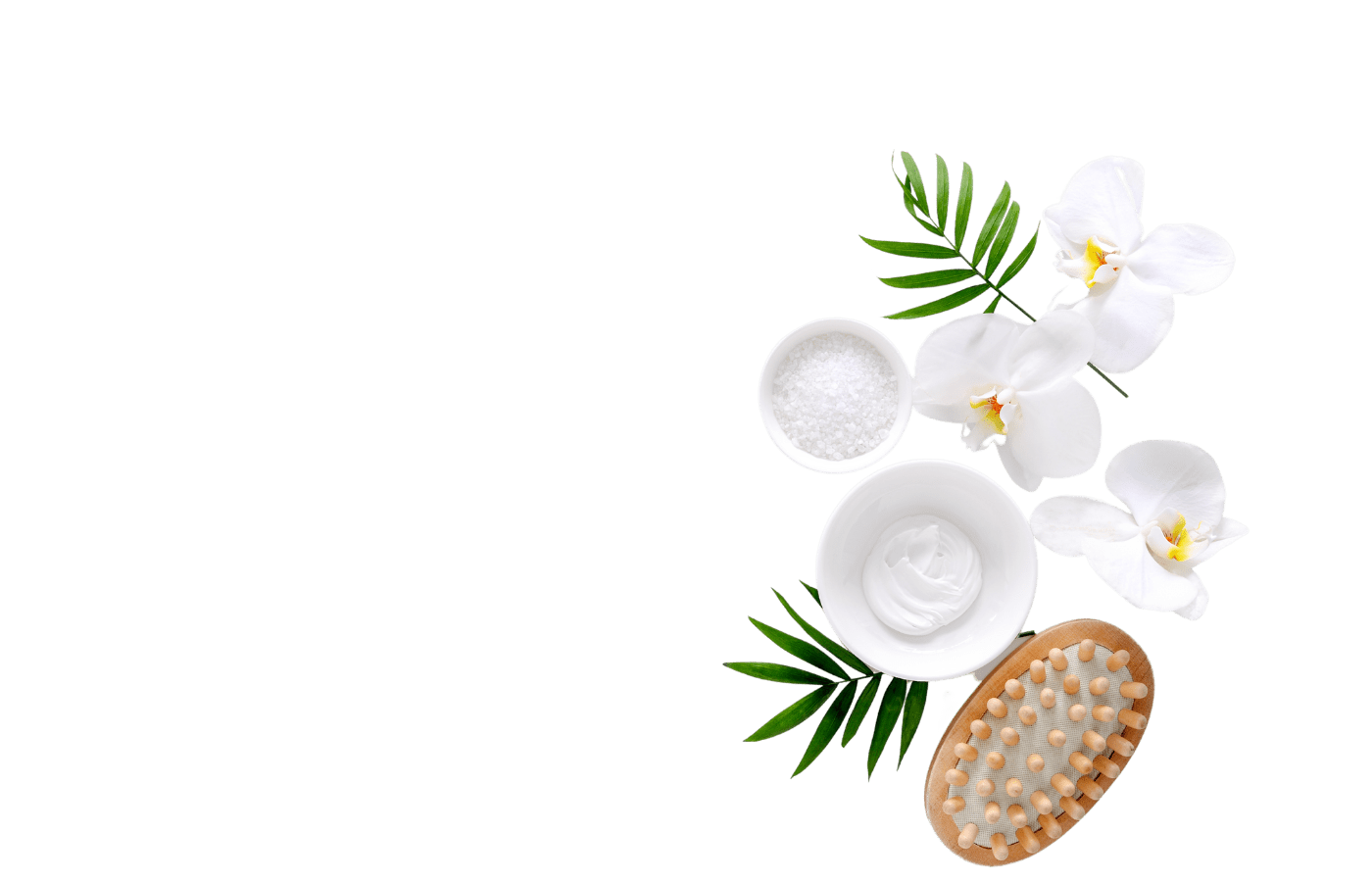 Home Tip2Toe Spa on the Go