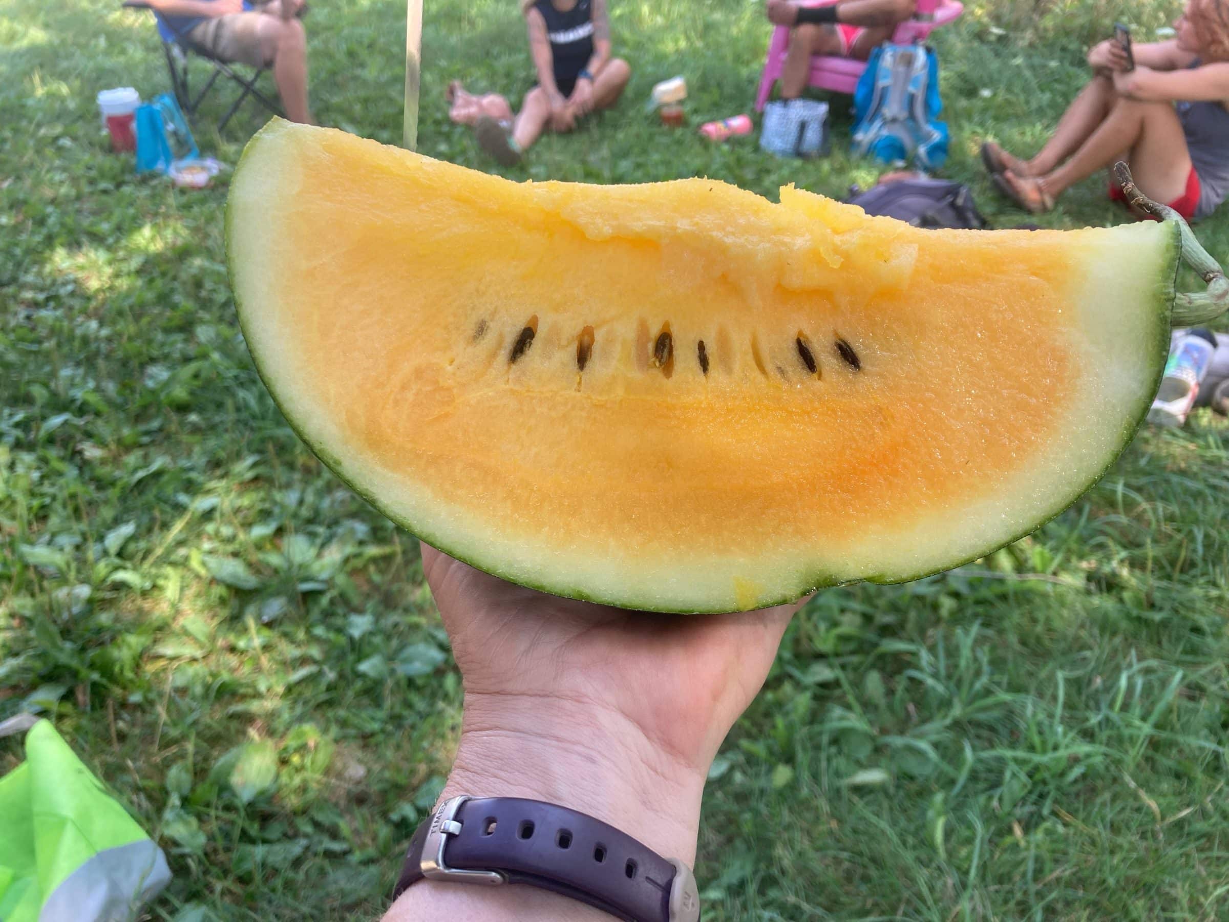 Jack Keller Watermelon Wine Wholesale Offers instrumentation.kmitl.ac.th