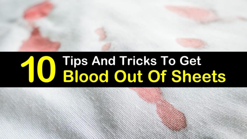 How to Get Blood Out of Sheets 10 Tips and Tricks to Remove Blood Stains