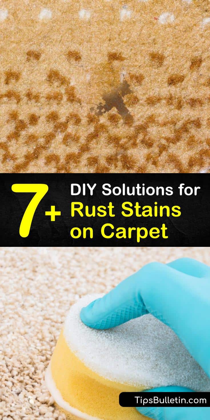 7+ Simple DIY Solutions for Rust Stains on Carpet