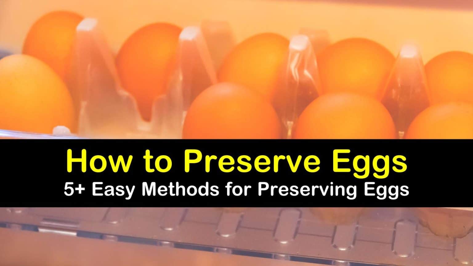 How to Preserve Eggs 5+ Easy Methods for Preserving Eggs