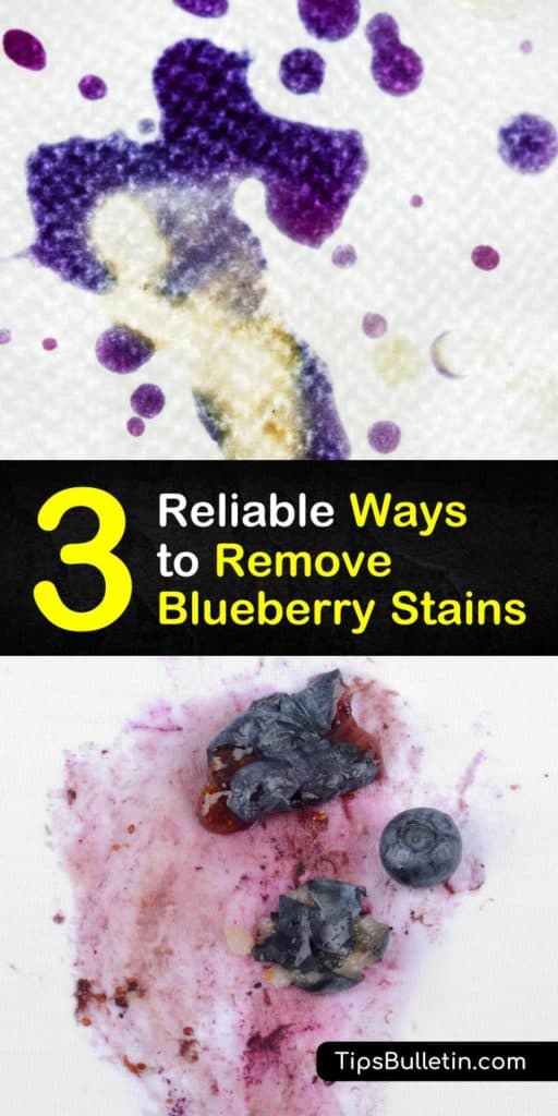 How To Remove Blueberry Stains From Shirt bmpvine