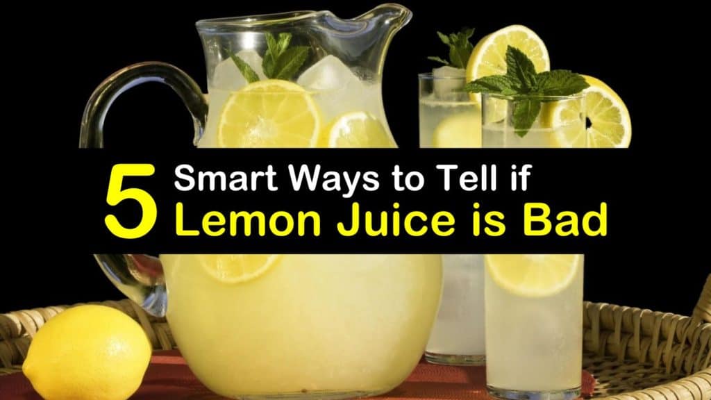 5 Smart Ways to Tell if Lemon Juice is Bad