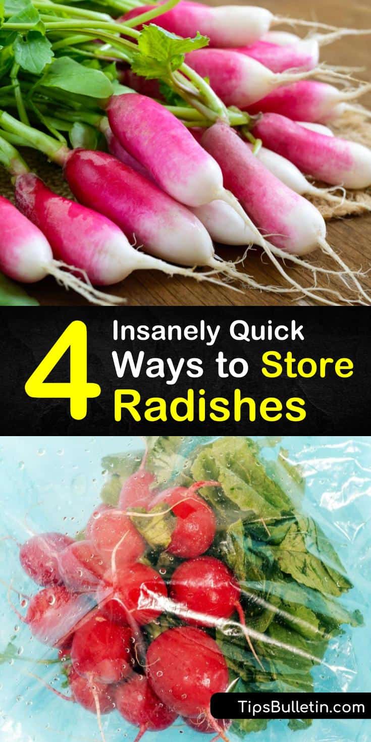 4 Insanely Quick Ways to Store Radishes jpg (735x1470)