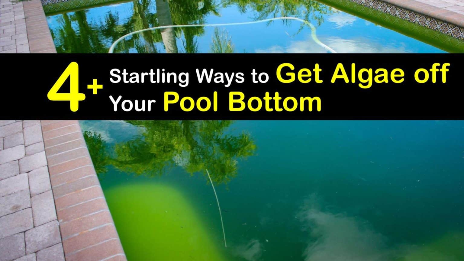 Quick Tricks for Cleaning Algae from the Bottom of Your Swimming Pool