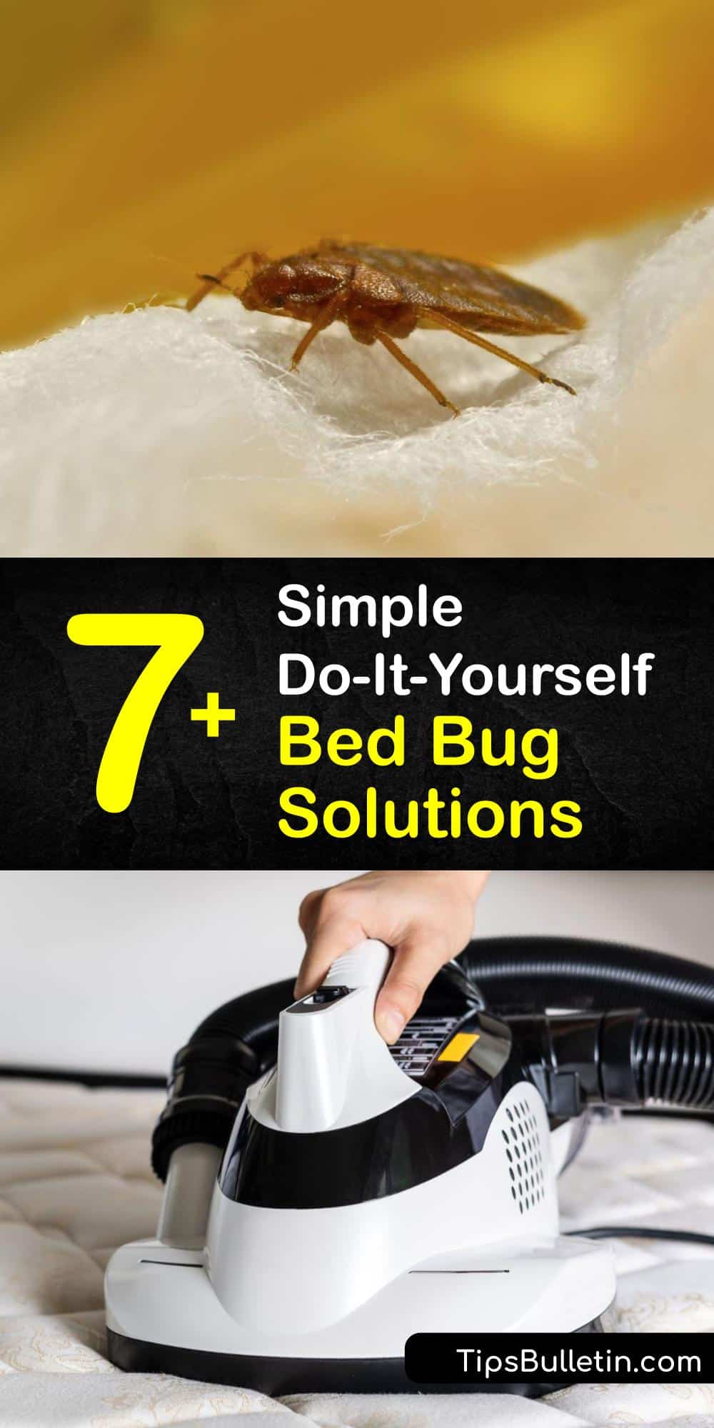 7+ Simple DoItYourself Bed Bug Solutions