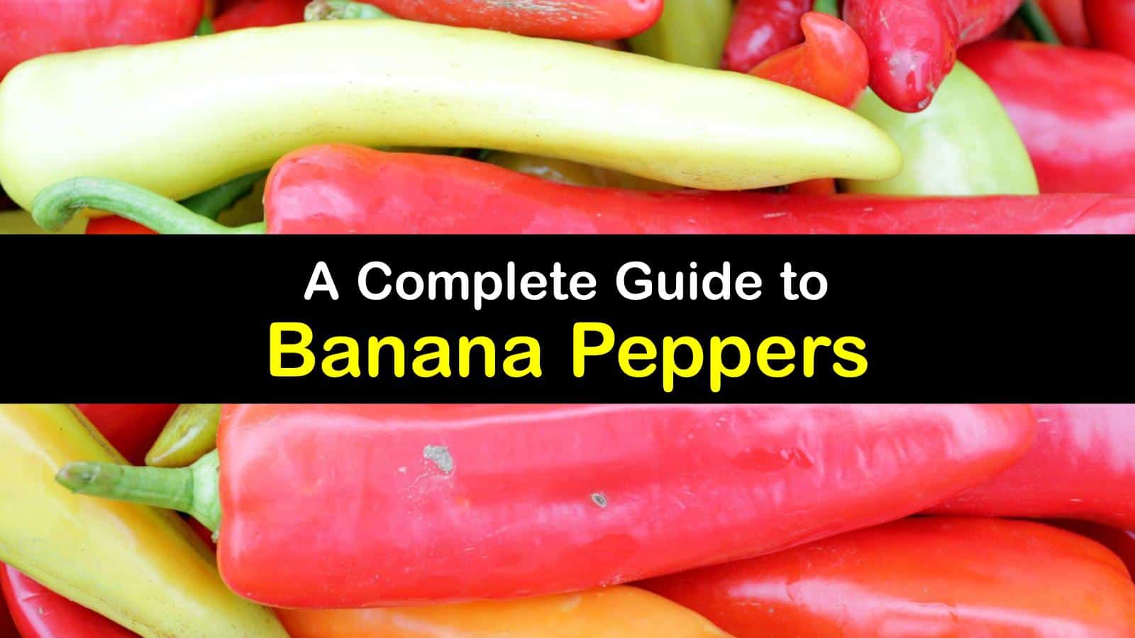 She stated that they are practically the same, that even some professionals who produce them sometimes have trouble telling them apart. A Complete Guide To Banana Peppers