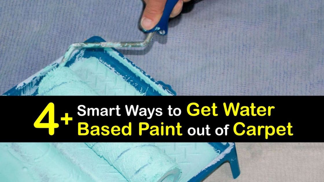 4+ Smart Ways to Get Water Based Paint out of Carpet