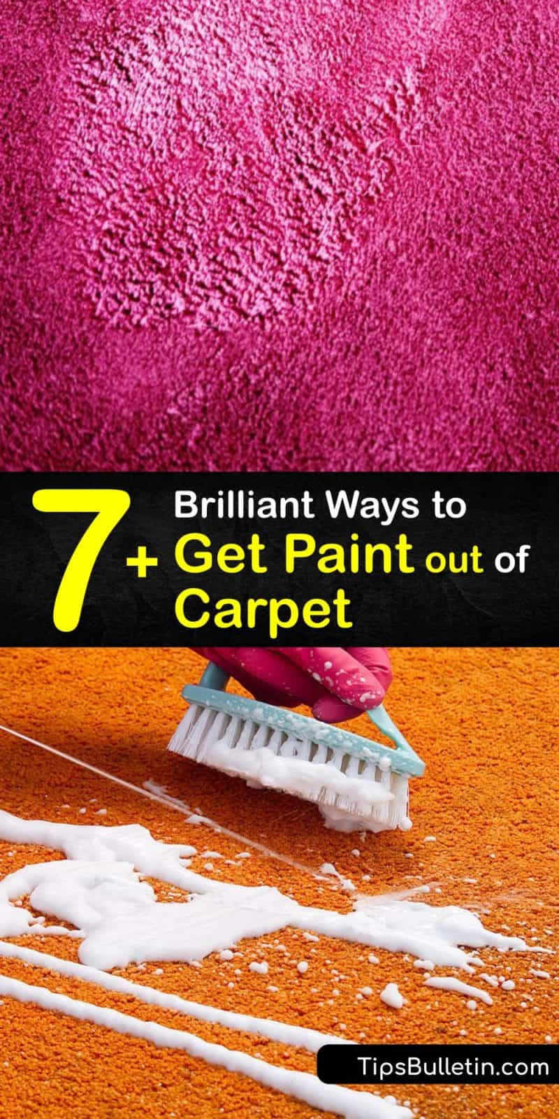 7+ Brilliant Ways to Get Paint out of Carpet