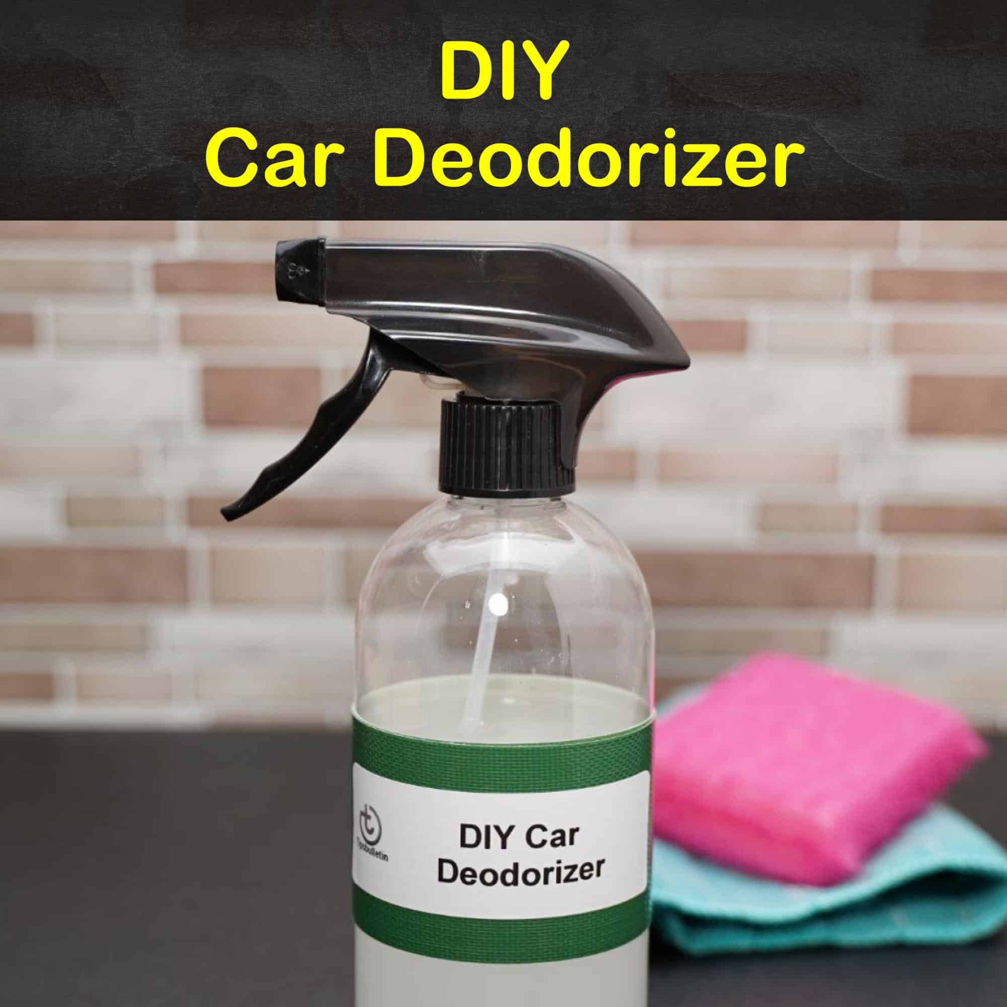 5+ EasytoMake Car Deodorizer Recipes