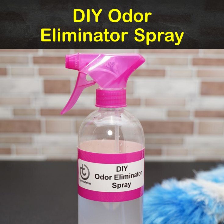 How To Make Eliminate Basement Odor Eliminator Openbasement
