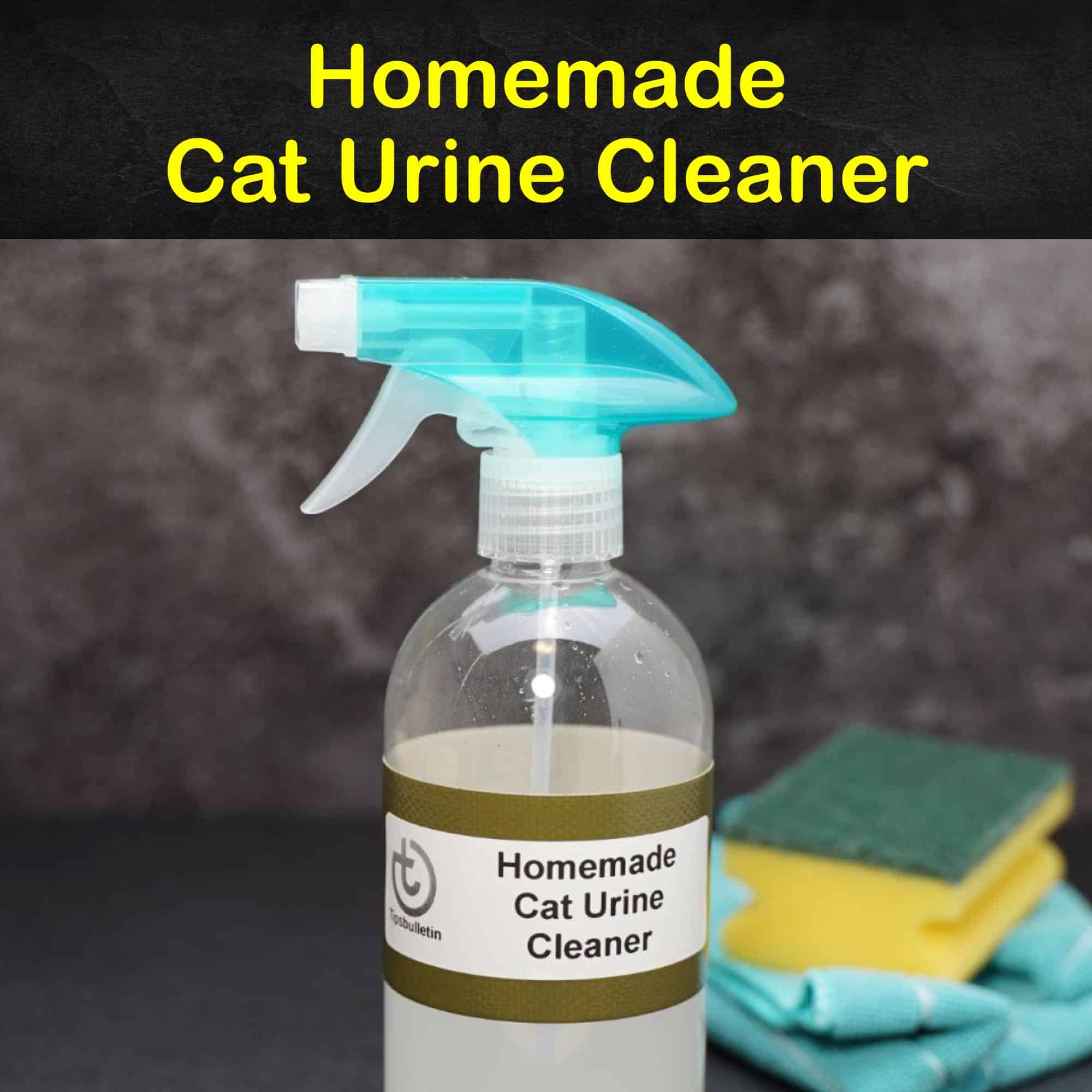 11+ Brilliant Ways to Clean Up Cat Urine