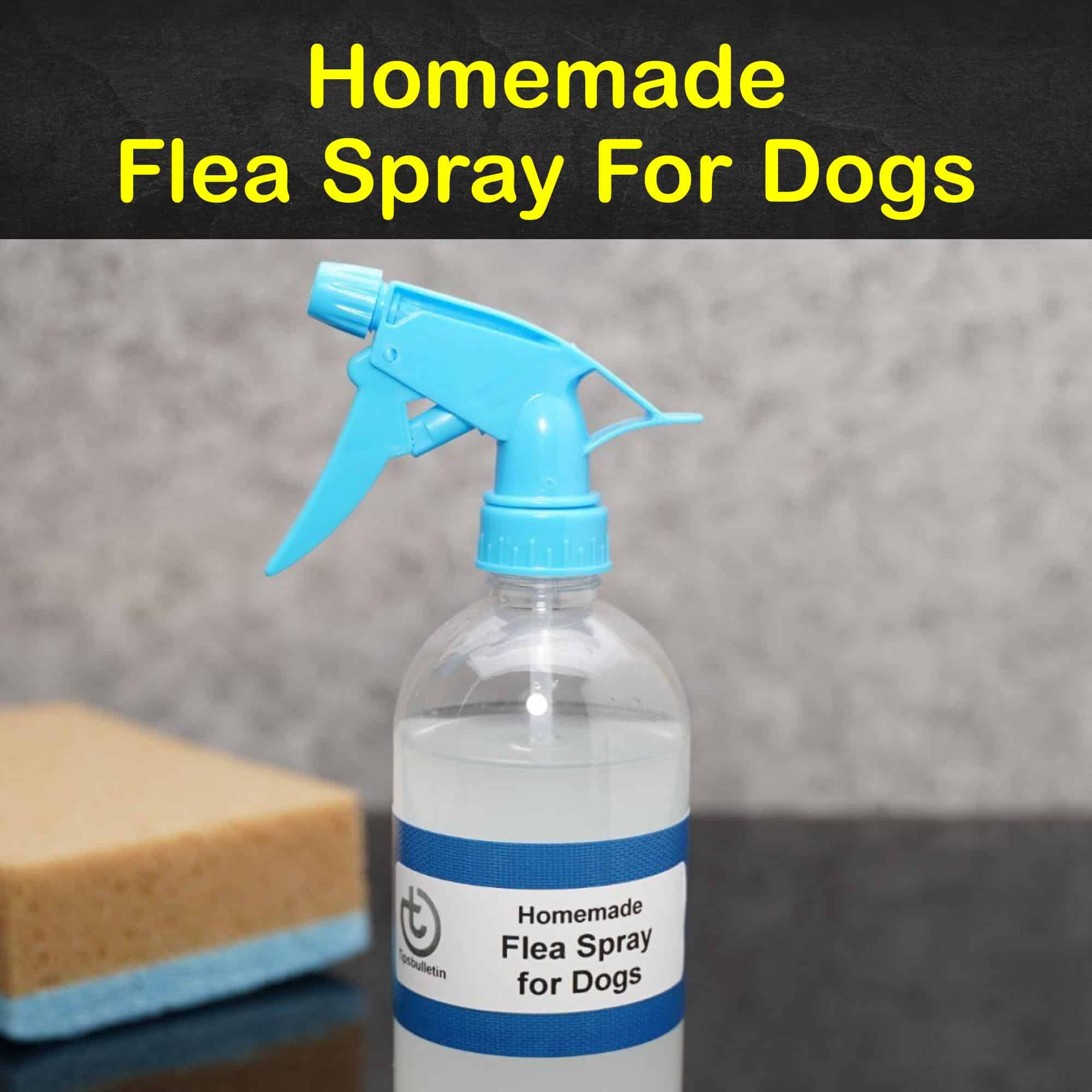 Flea Remedy For Dogs Homemade at Ricardo Powell blog