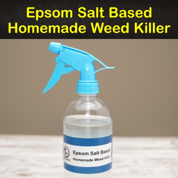 3 Epsom Salt Based Homemade Weed Killer Tips & Recipes