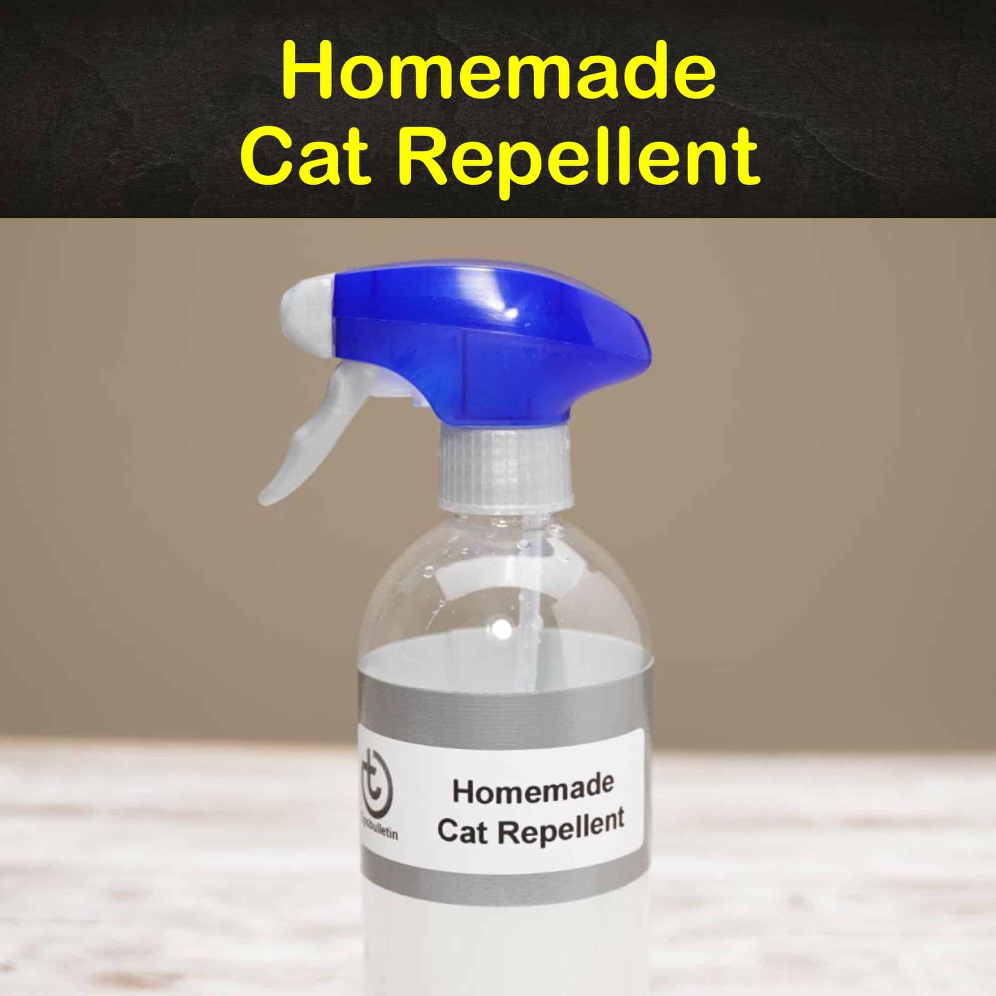 Is There A Natural Cat Repellent at Christine Toscano blog