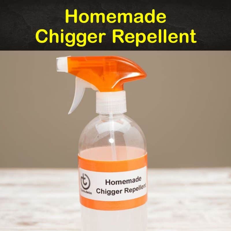 7+ DoItYourself Chigger Repellent Recipes