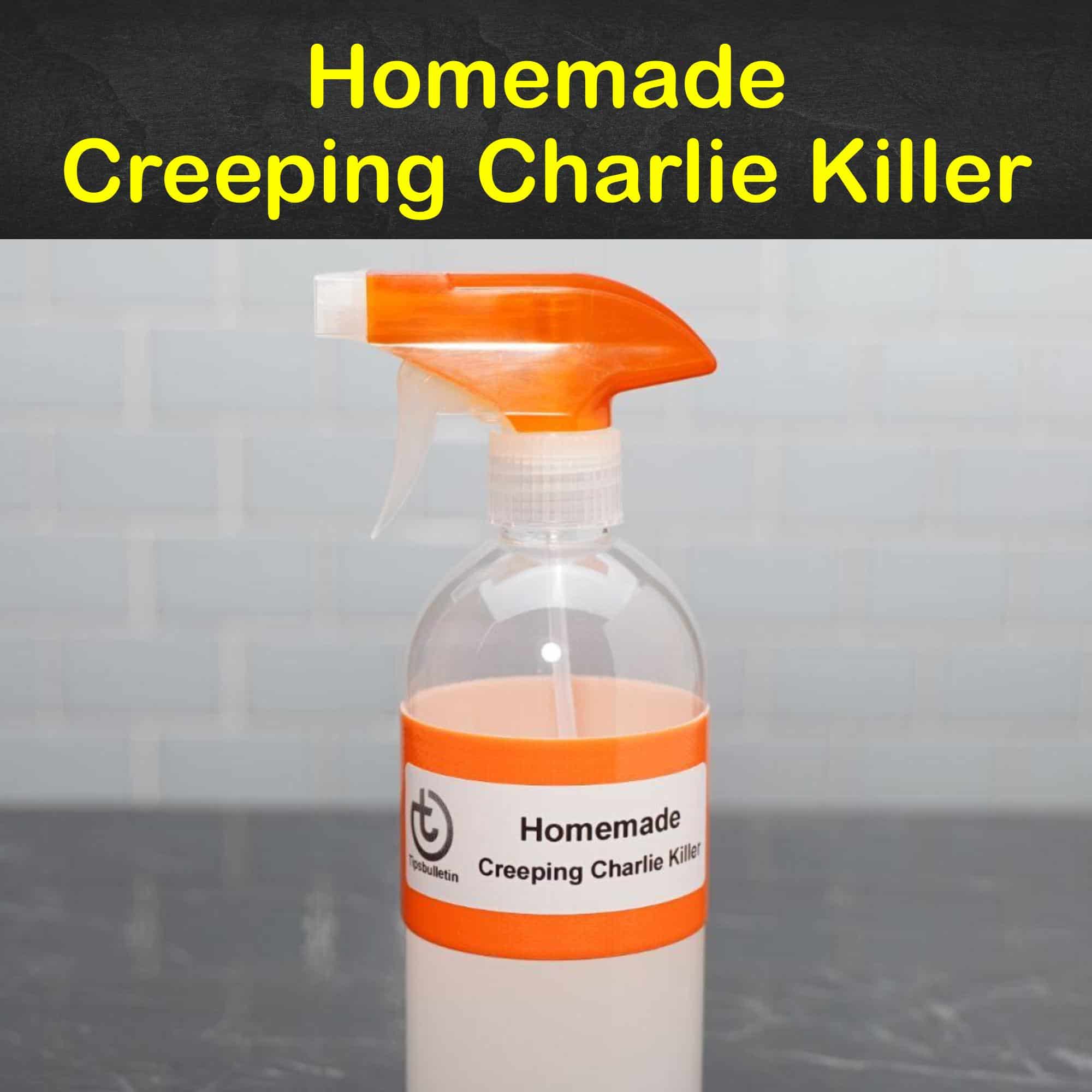 4 Homemade Creeping Charlie Killer Tips and Recipes
