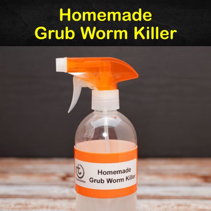Killing Grub Worms Naturally 10 Homemade Grub Worm Killer Tips