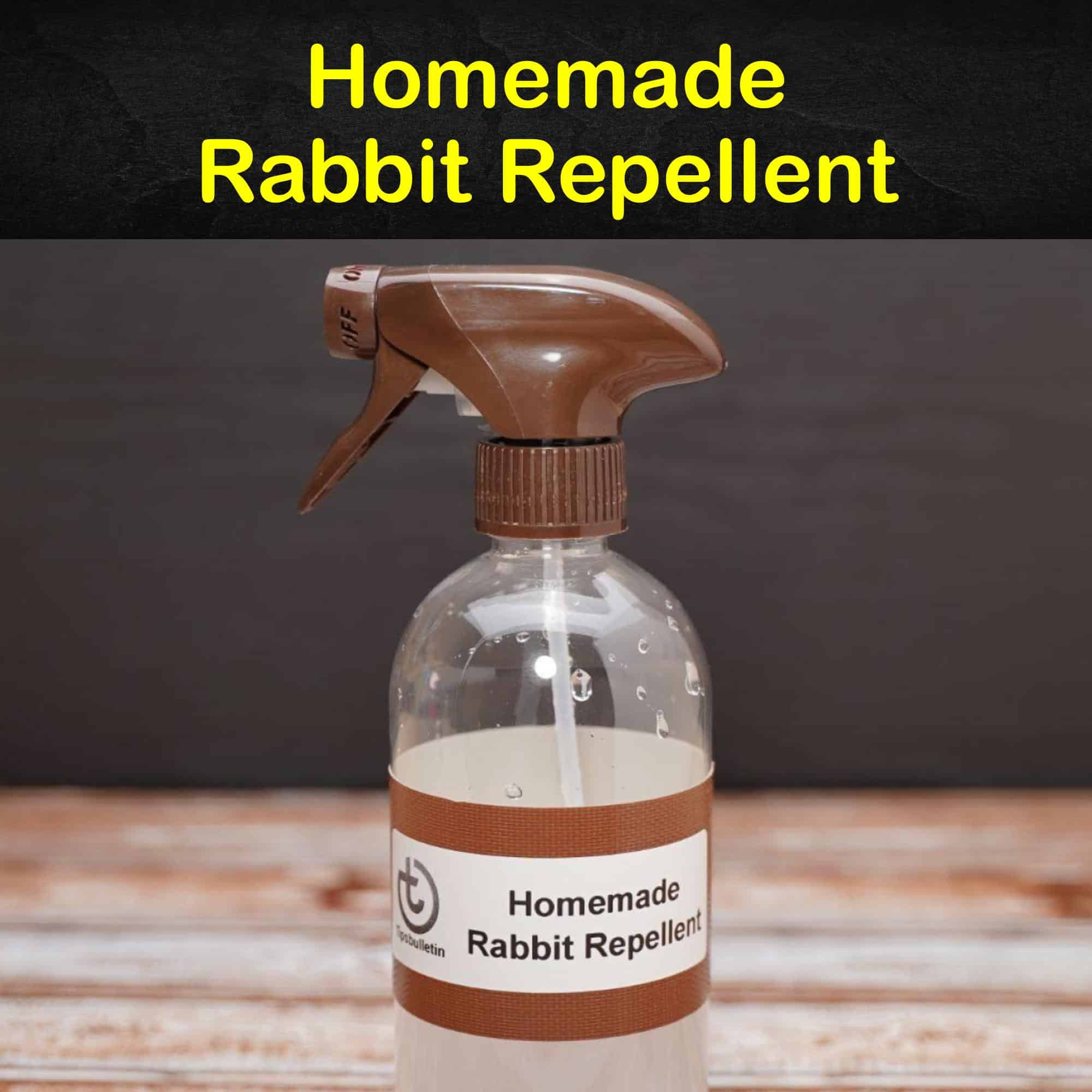 10 EasytoFollow Rabbit Repellent Solutions