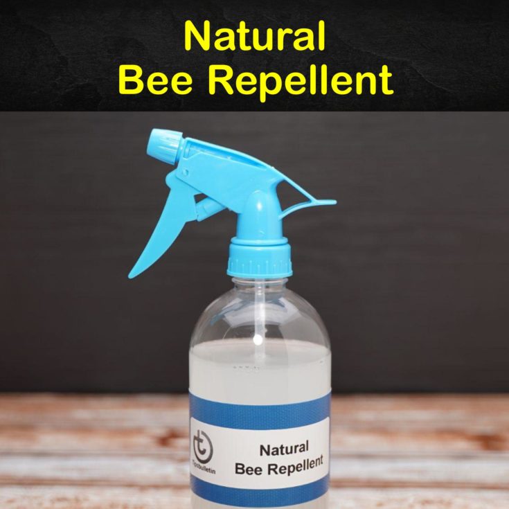 Types Of Bee Repellent at Adaline Anderson blog