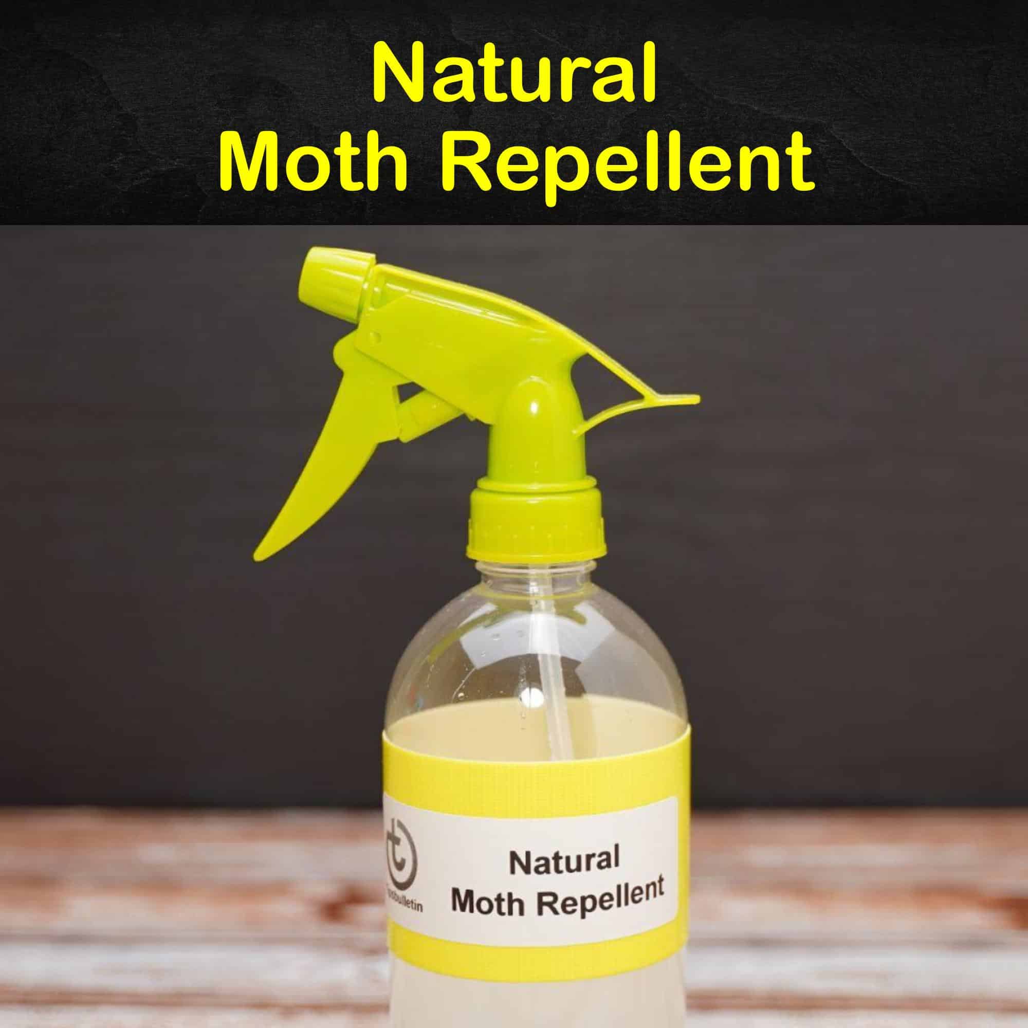 Natural Moth Repellent Australia at Yvonne Balbuena blog
