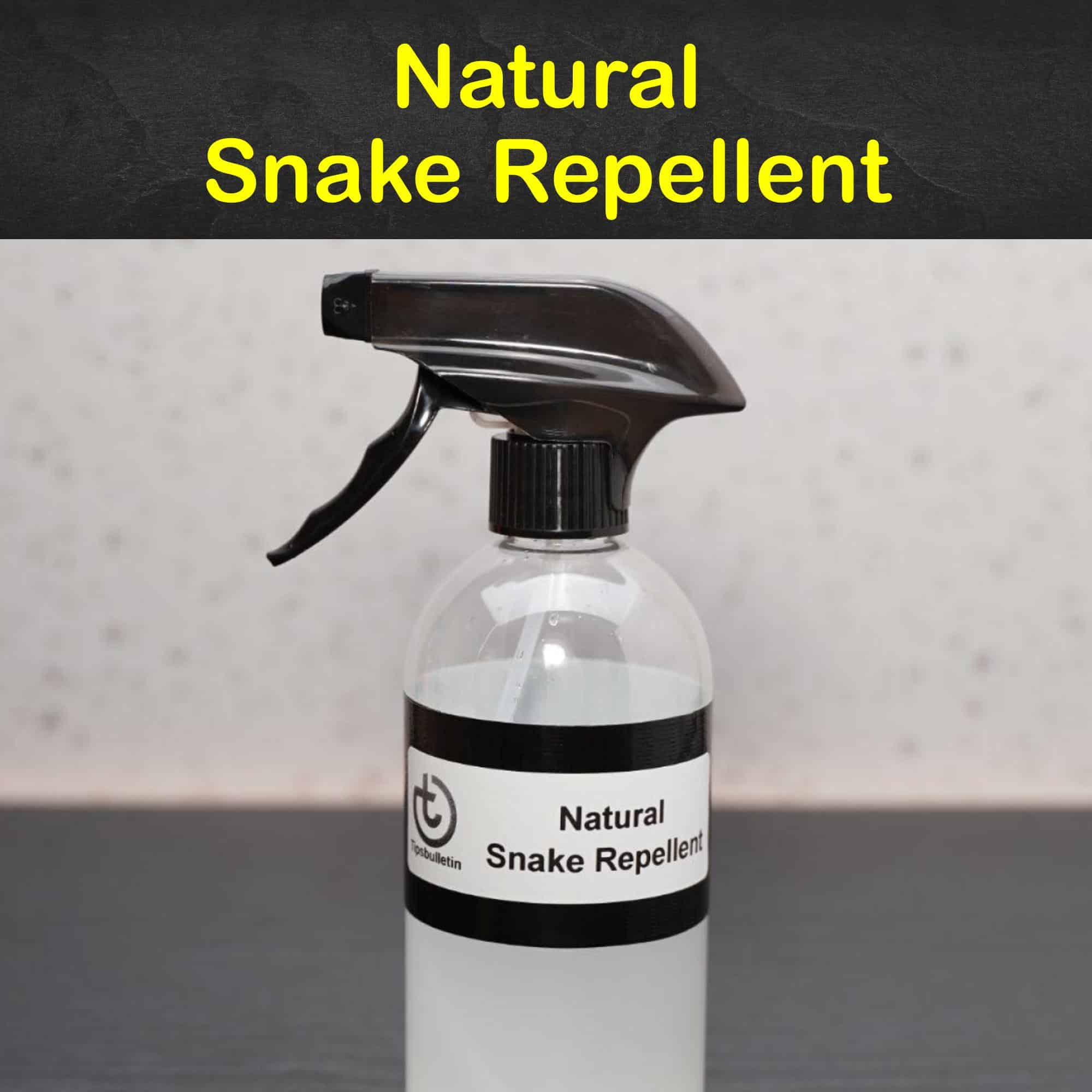 9 Fast & Easy Homemade Snake Repellent Recipes