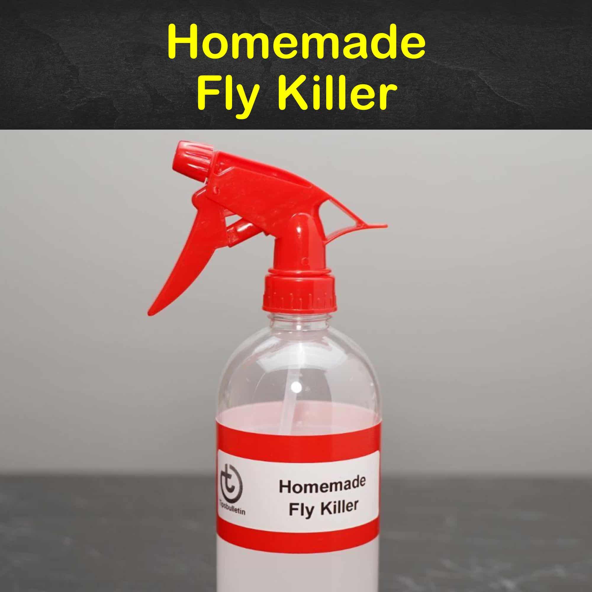Natural Way To Catch Flies bet.yonsei.ac.kr