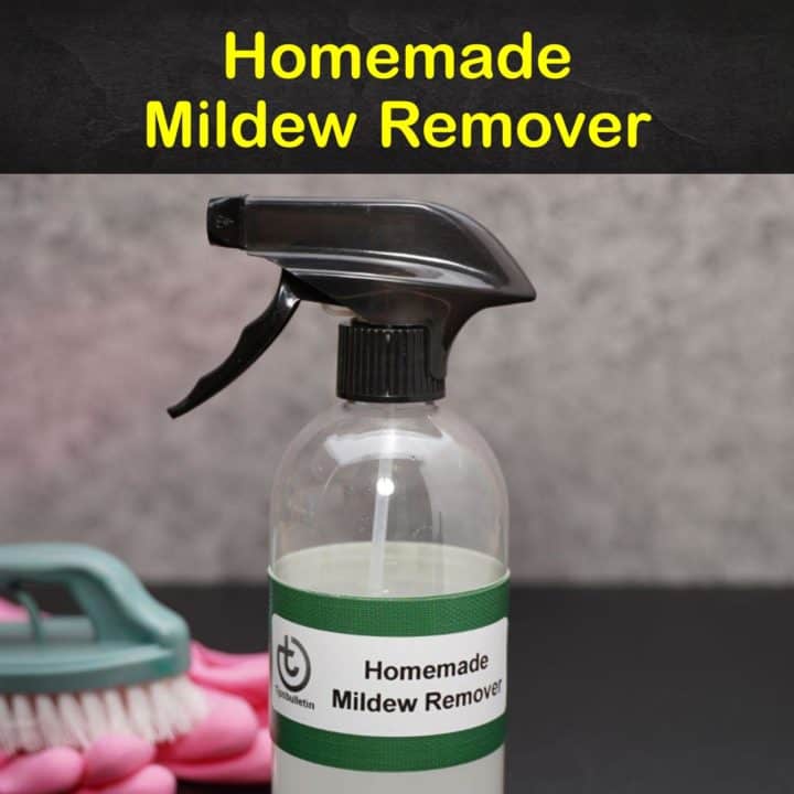 11 MakeYourOwn Mildew Remover Recipes