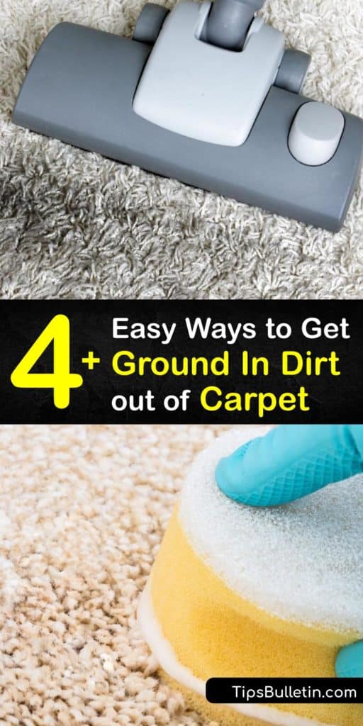 Deep Cleaning Carpet and Rugs Fast Tips for Removing Dirty Stains