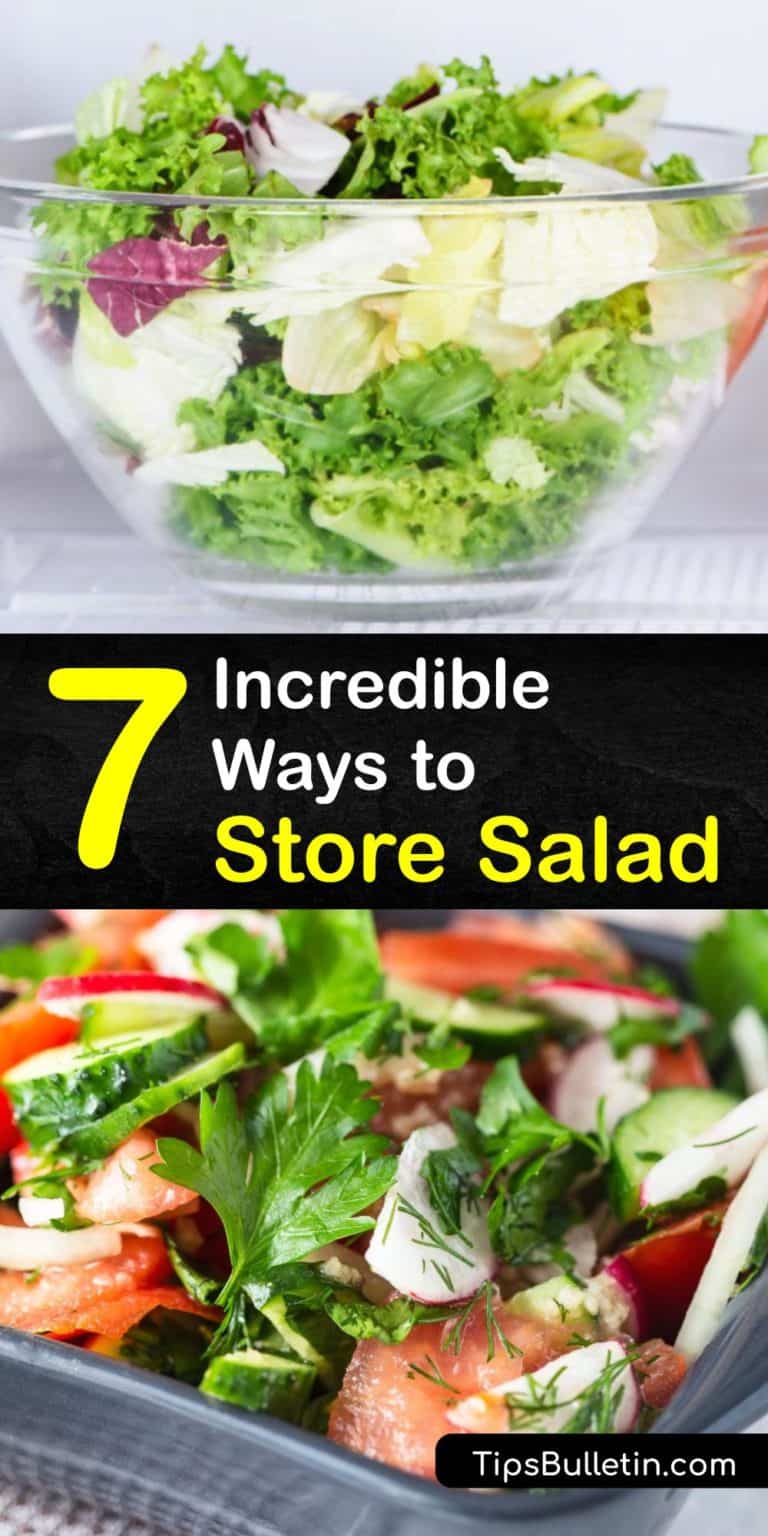 7 Incredible Ways to Store Salad