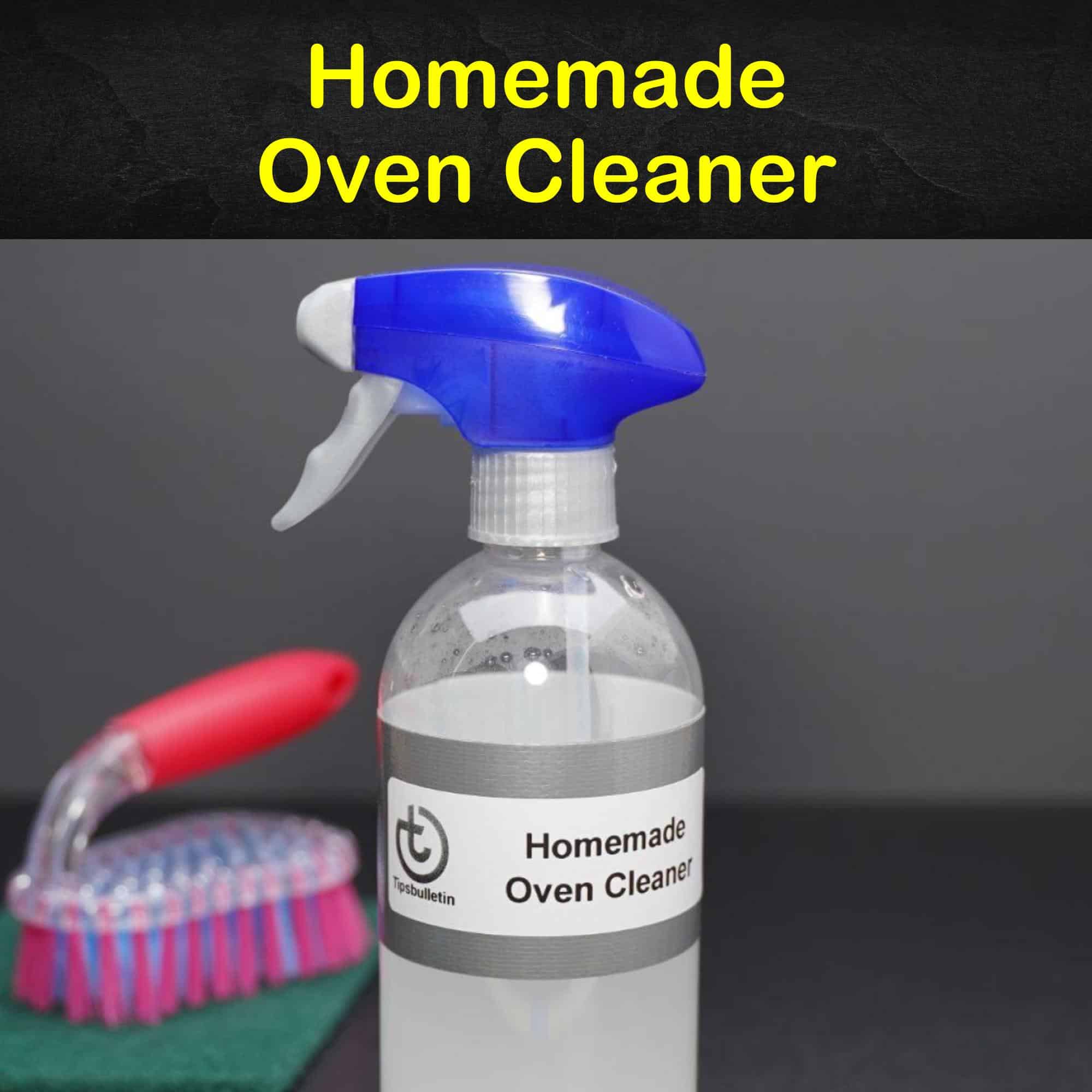 11 Easy Ways to Make Your Own Oven Cleaner
