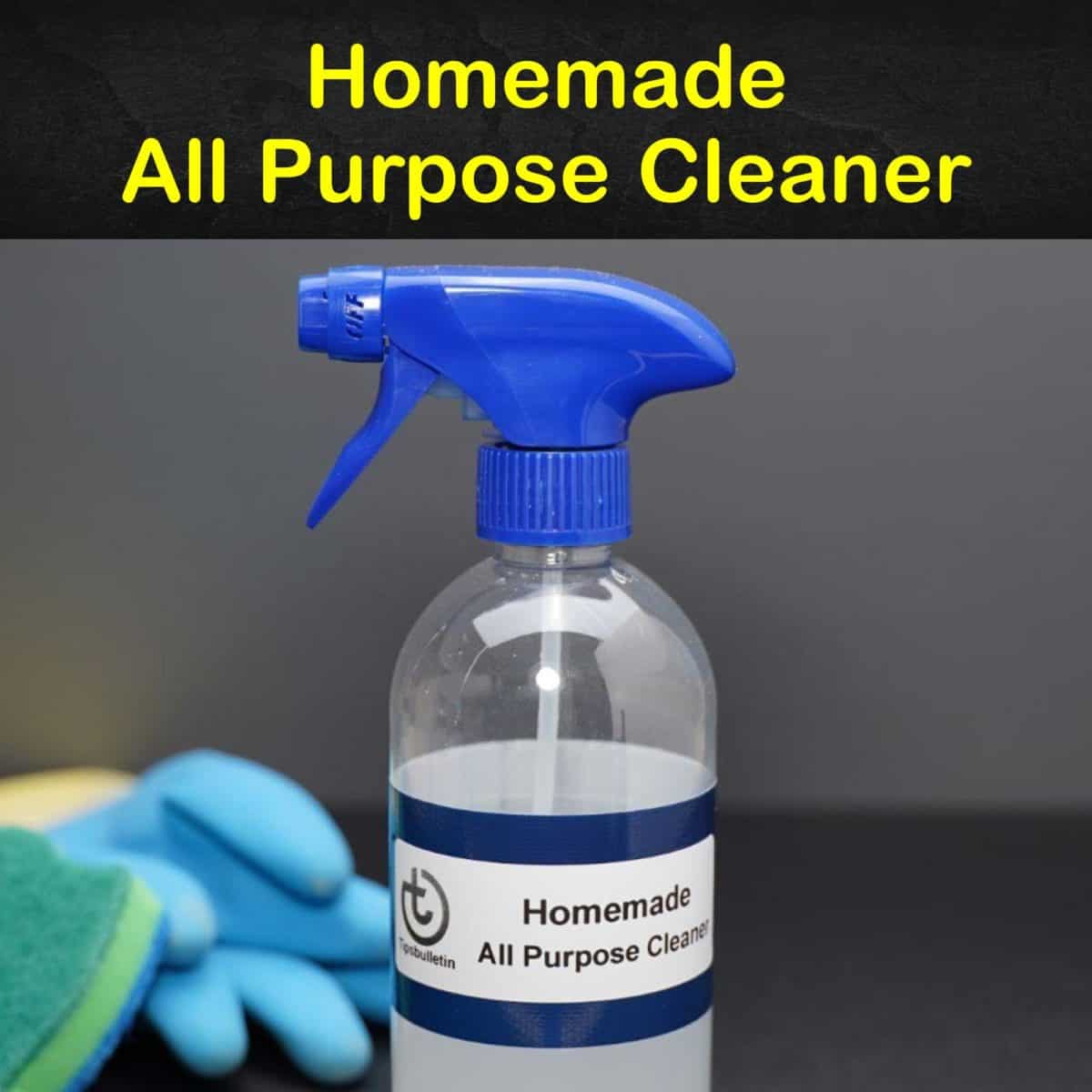 7 Amazing EasytoMake All Purpose Cleaner Recipes