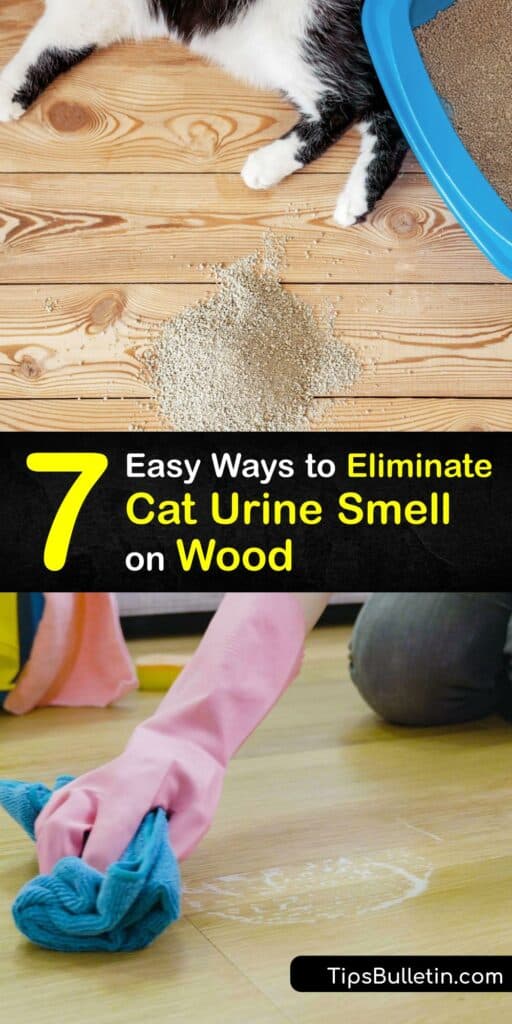 Cat Urine Smell on Wood Get Rid of Cat Pee on Your Furniture