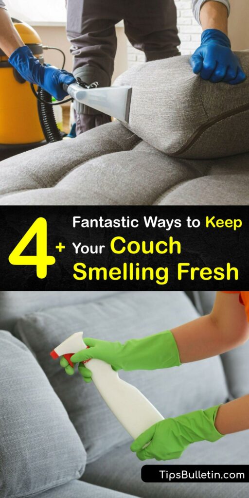 Freshening the Couch Ways to Improve the Smell of the Sofa