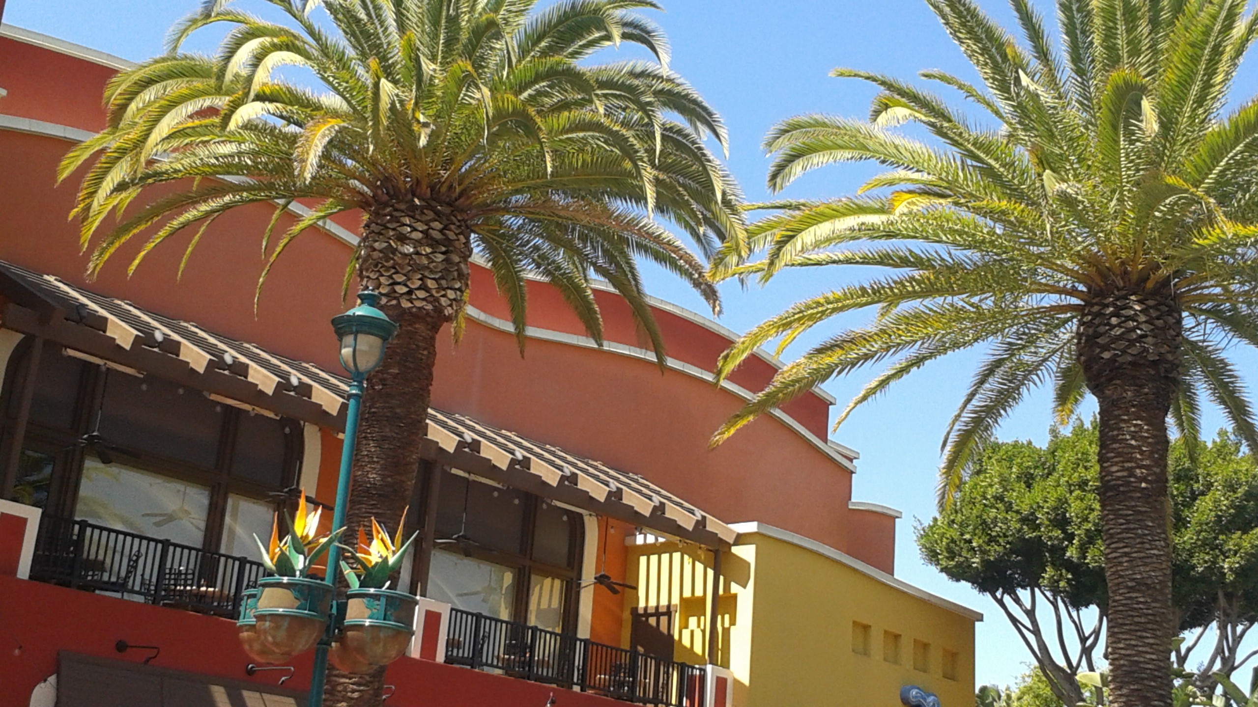 Tortilla Jo’s Downtown Disney Anaheim Tips from the Disney Divas and