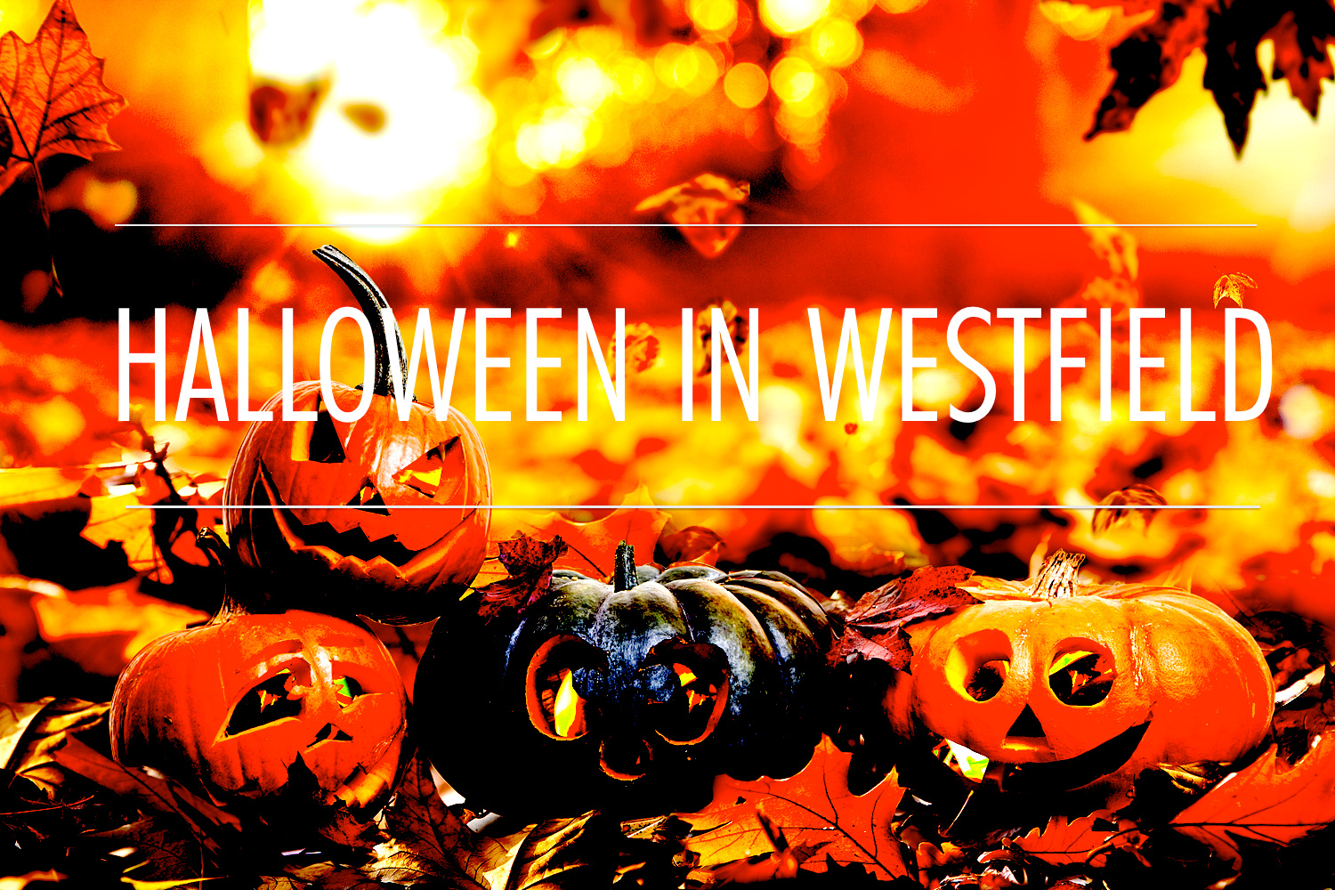 Halloween in Westfield Tips From Town