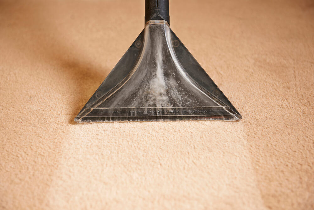 How Can I Deep Clean My Carpet Myself? Tips n' Tutorials
