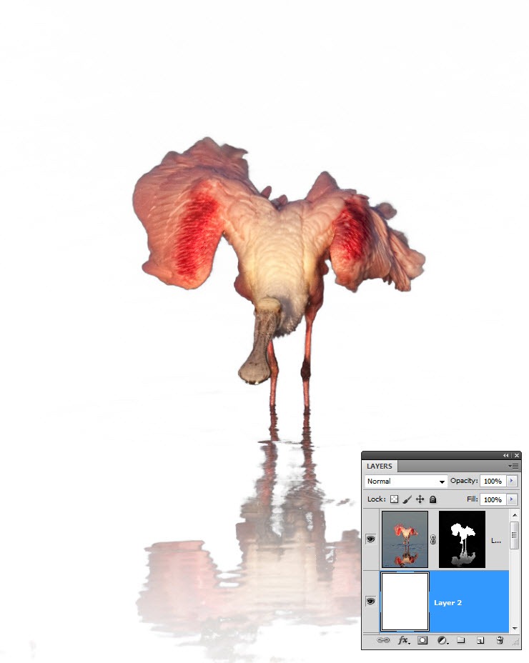 Selecting with Color Range TipSquirrel