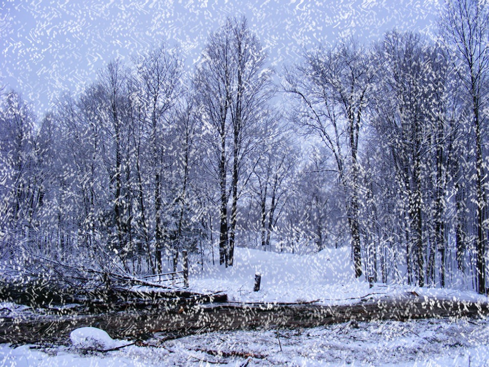 Let It Snow With TipSquirrel